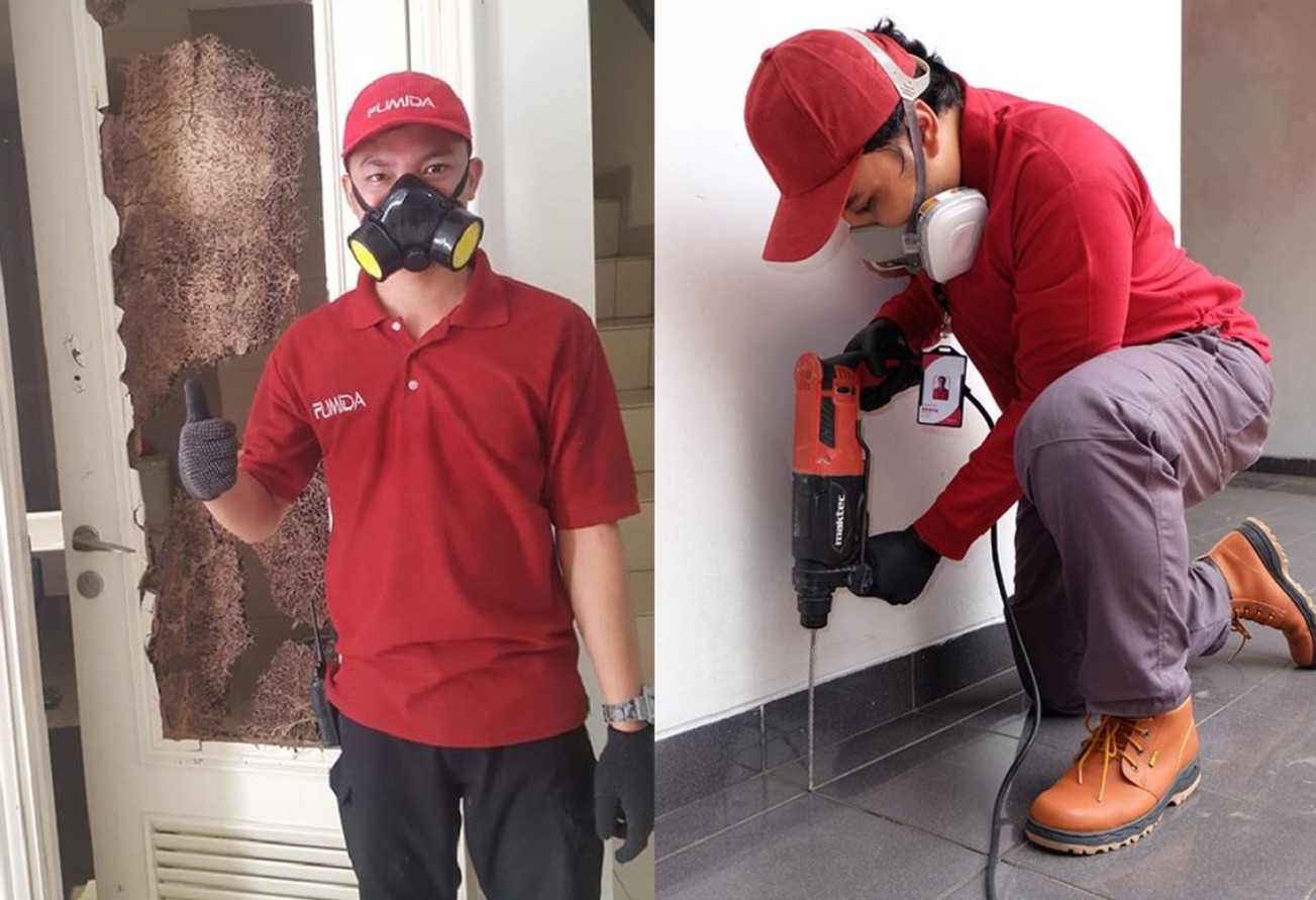 3 Manfaat Luar Biasa Dengan Menggunakan Jasa anti rayap!